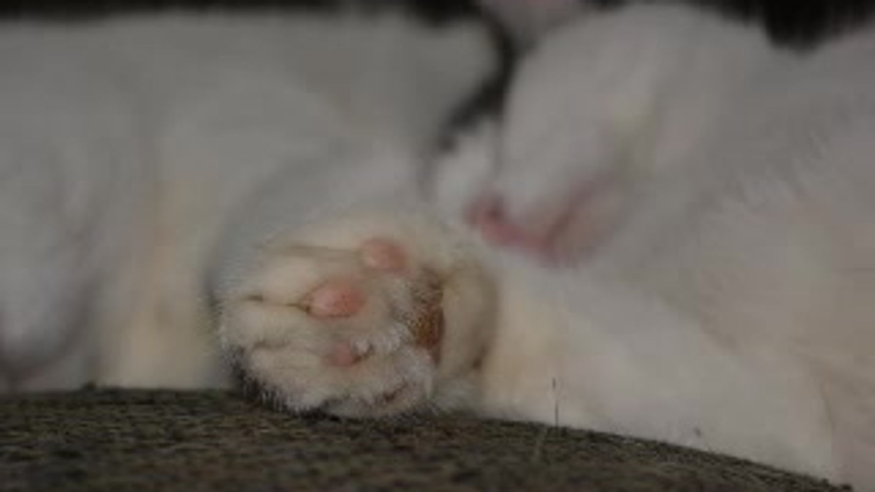 Sleeping